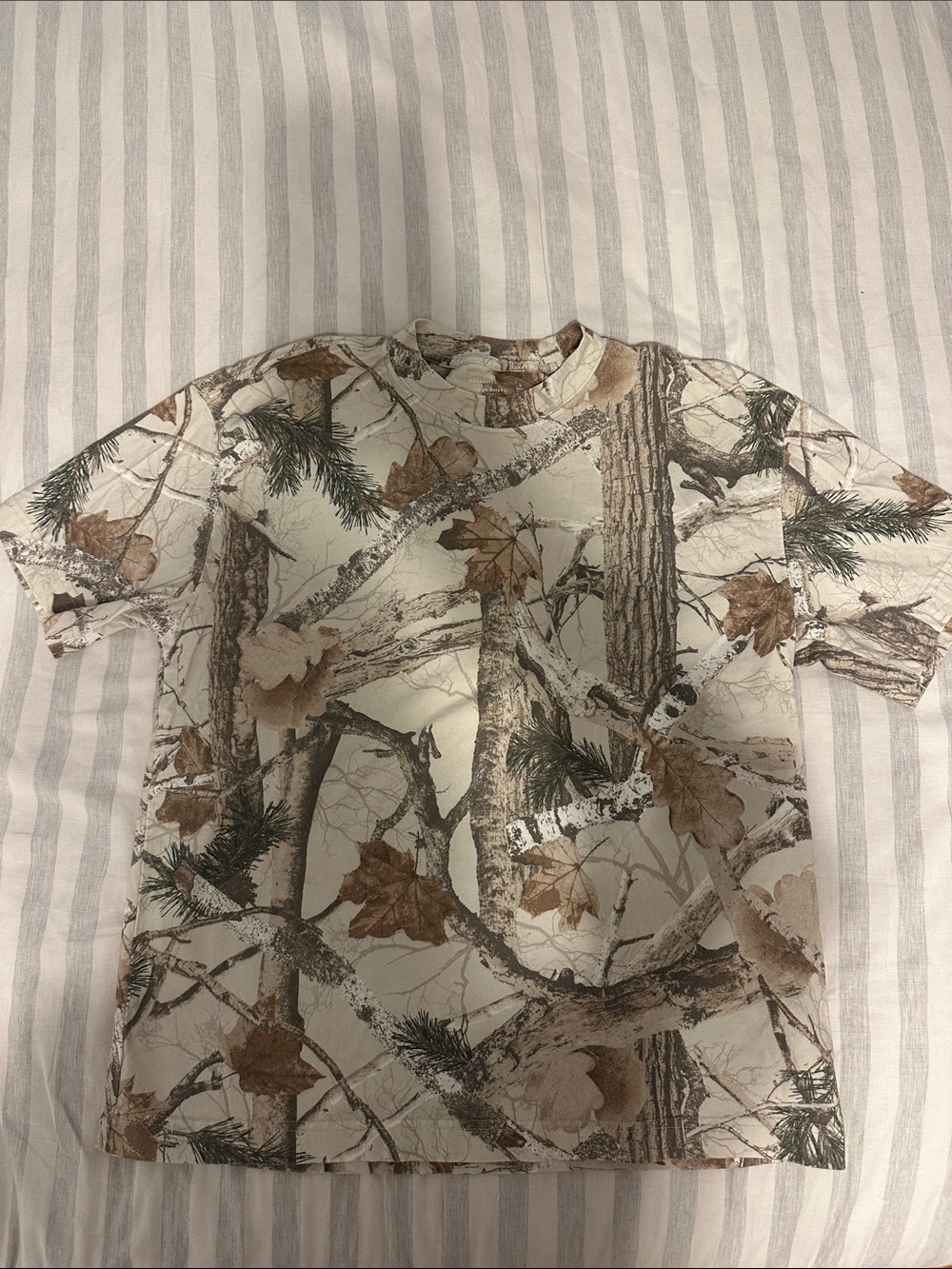 Hollister tee